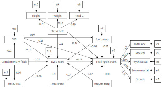 Identifying and evaluating factors related to feeding disorders in children using the path analysis method.