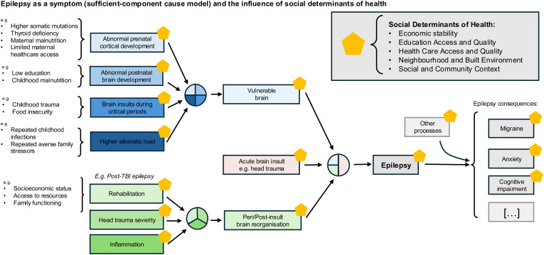 The Role of Social Determinants of Health in Childhood Epilepsy.