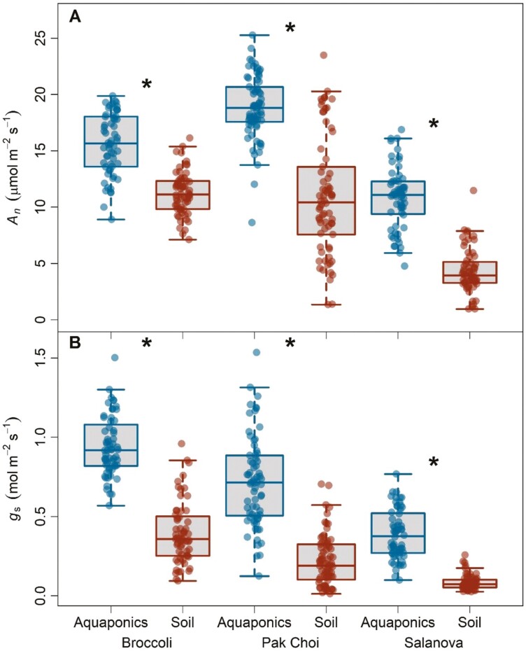 Acclimation of functional traits leads to biomass increases in leafy green species grown in aquaponics.