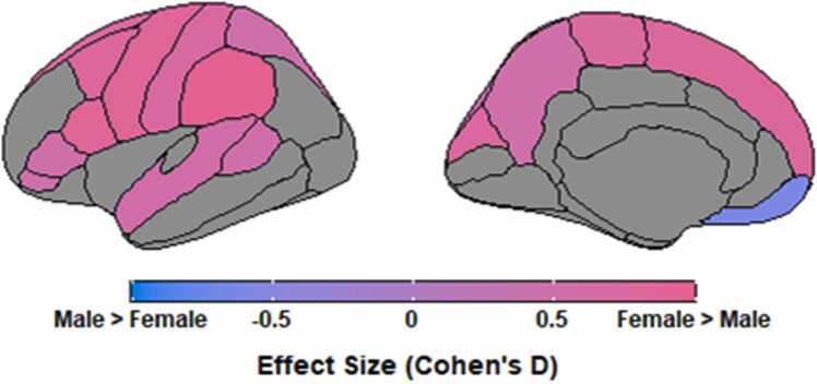 Sex differences in normative modeling of cortical thickness in cannabis use disorder