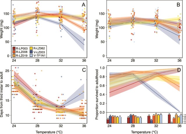 Temperature influences outcomes of an environmentally acquired symbiosis.