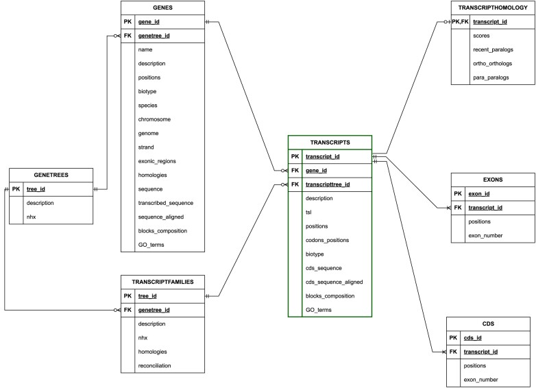 TranscriptDB: a transcript-centric database to study eukaryotic transcript conservation and evolution.
