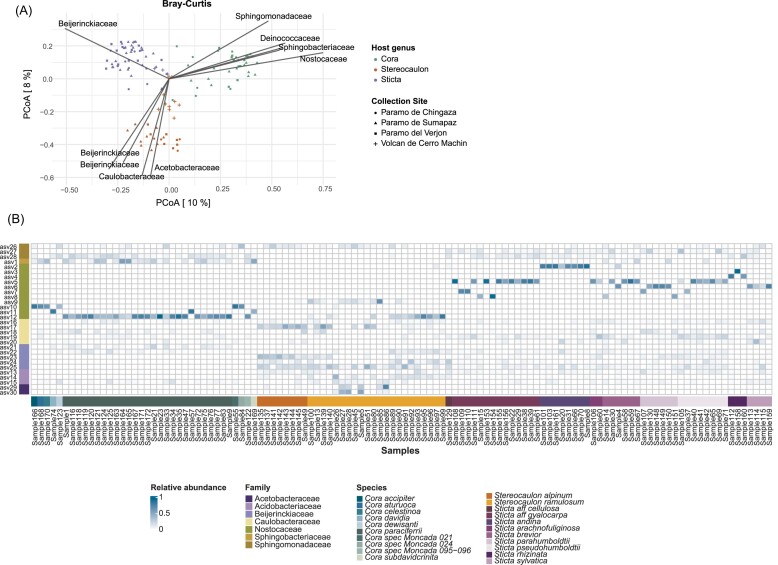Distinct bacteria display genus and species-specific associations with mycobionts in paramo lichens in Colombia.