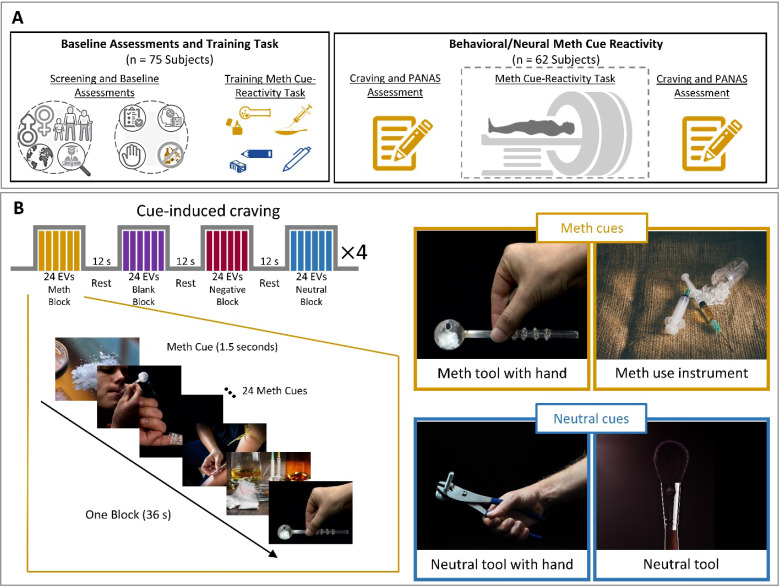 Amygdala Network Dynamics During Drug Cue Processing in Methamphetamine Use Disorder.