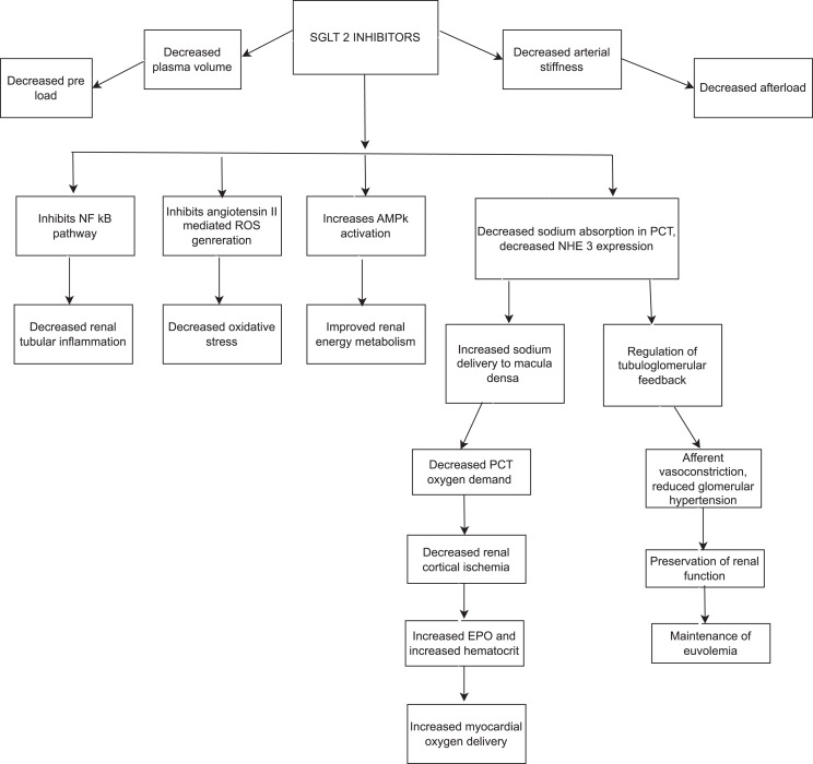 Cardiorenal Syndrome in Heart Failure with Preserved Ejection Fraction: Insights into Pathophysiology and Recent Advances.