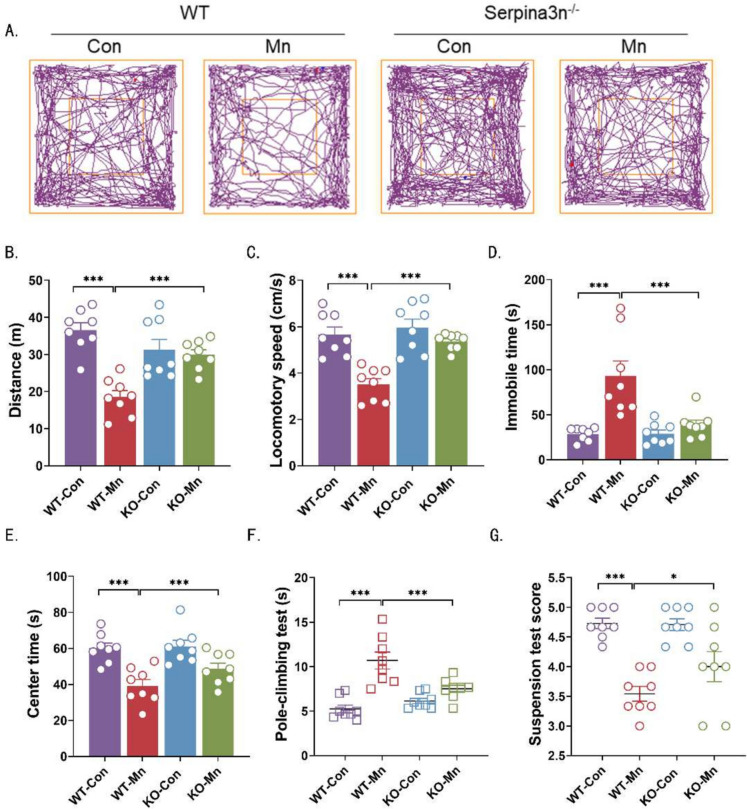 Manganese exposure induces parkinsonism-like symptoms by Serpina3n-TFEB-v/p-ATPase signaling mediated lysosomal dysfunction.