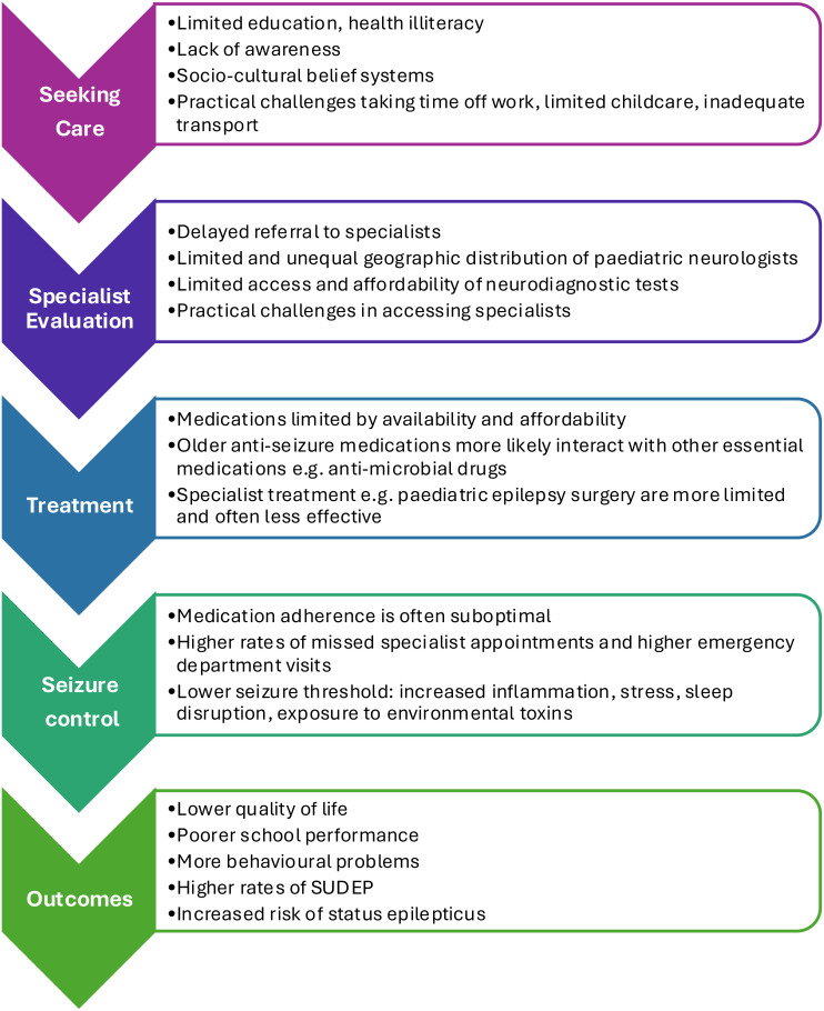 The Role of Social Determinants of Health in Childhood Epilepsy.