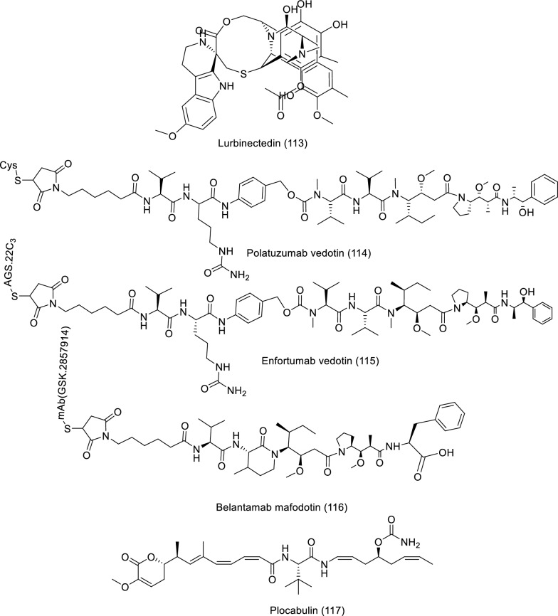 Marine natural products as a source of novel anticancer drugs: an updated review (2019–2023)