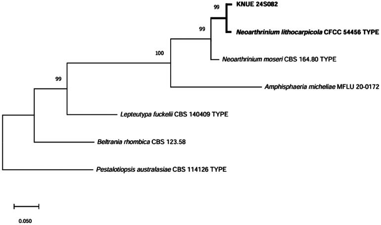 Endophytic Fungi Isolated from the Marine Macroalga <i>Dictyopteris pacifica</i> in Korea.