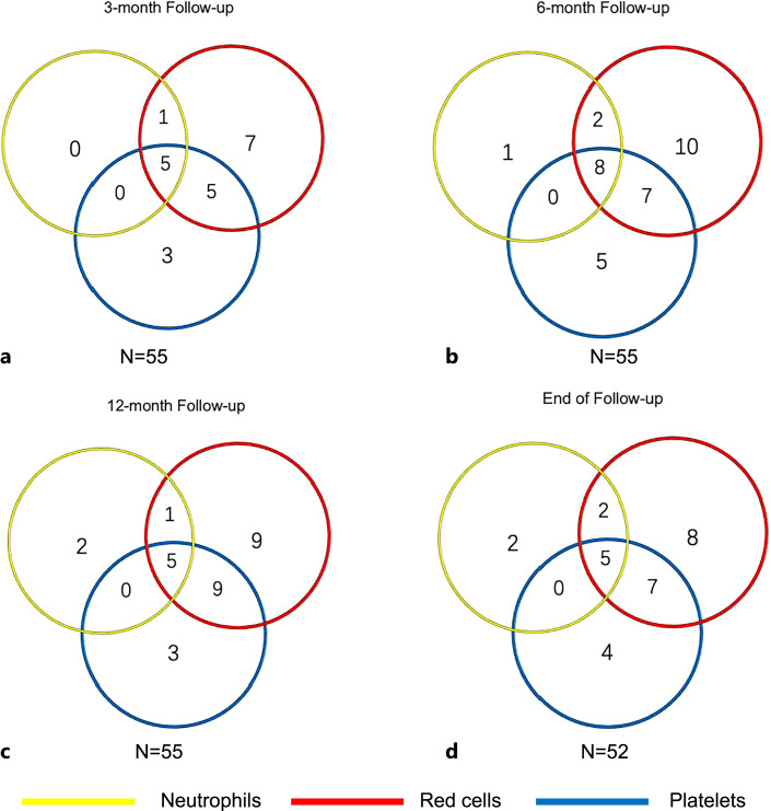 Long-Term Follow-Up of Eltrombopag Treatment for Patients with Cyclosporin A Refractory/Relapsed Transfusion-Dependent Non-Severe Aplastic Anemia: A Report from a Single Center in China.