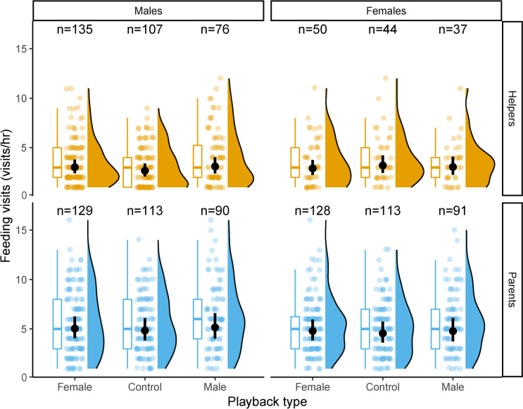 Is provisioning rate of parents and helpers influenced by the simulated presence of novel individuals?