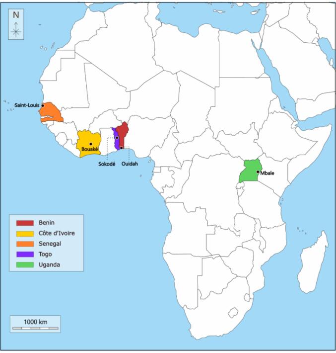 Barriers and Facilitators to the Development and Implementation of Public Policies Addressing Food Systems in Five Sub-Saharan African Countries and Five of Their Cities.