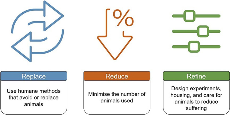 When is synthetic sufficient? Ethical considerations and alternatives in simulation-based ultrasound education.