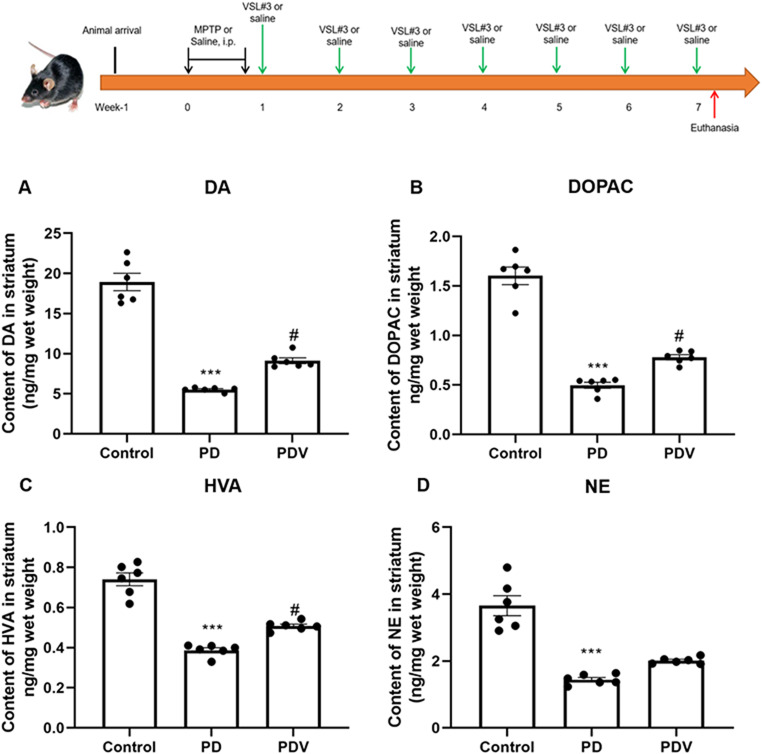 Modulation of Intestinal Inflammation and Protection of Dopaminergic Neurons in Parkinson's Disease Mice through a Probiotic Formulation Targeting NLRP3 Inflammasome.