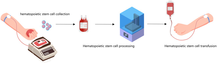 The Progress of Autologous Hematopoietic Stem Cell Transplantation in the Treatment of Multiple Myeloma (Review).