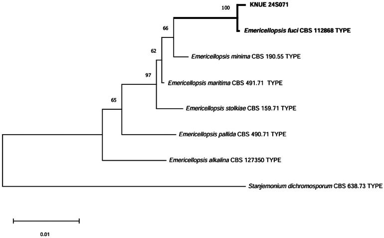 Endophytic Fungi Isolated from the Marine Macroalga <i>Dictyopteris pacifica</i> in Korea.