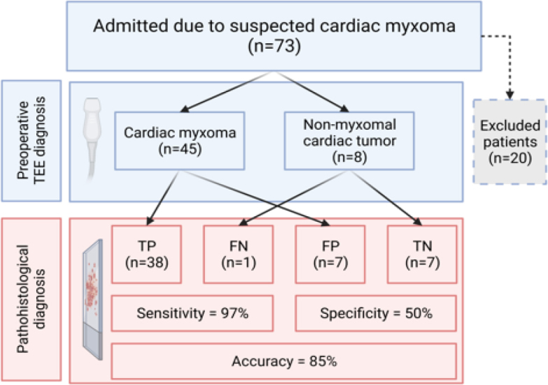 Accuracy of transthoracic echocardiography in diagnosis of cardiac myxoma: single center experience.