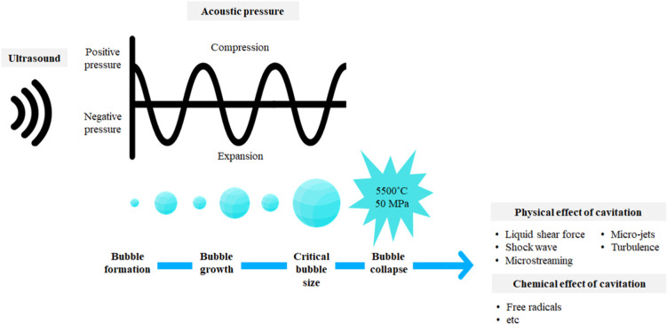 Application of Ultrasound to Animal-Based Food to Improve Microbial Safety and Processing Efficiency.
