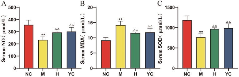 Hirudin-Based Treatment of Diabetes-Induced Erectile Dysfunction Through Inhibition of the HIF-1α to Regulate RhoA/ROCK Signaling Pathway: An In Vivo Animal Experiment.