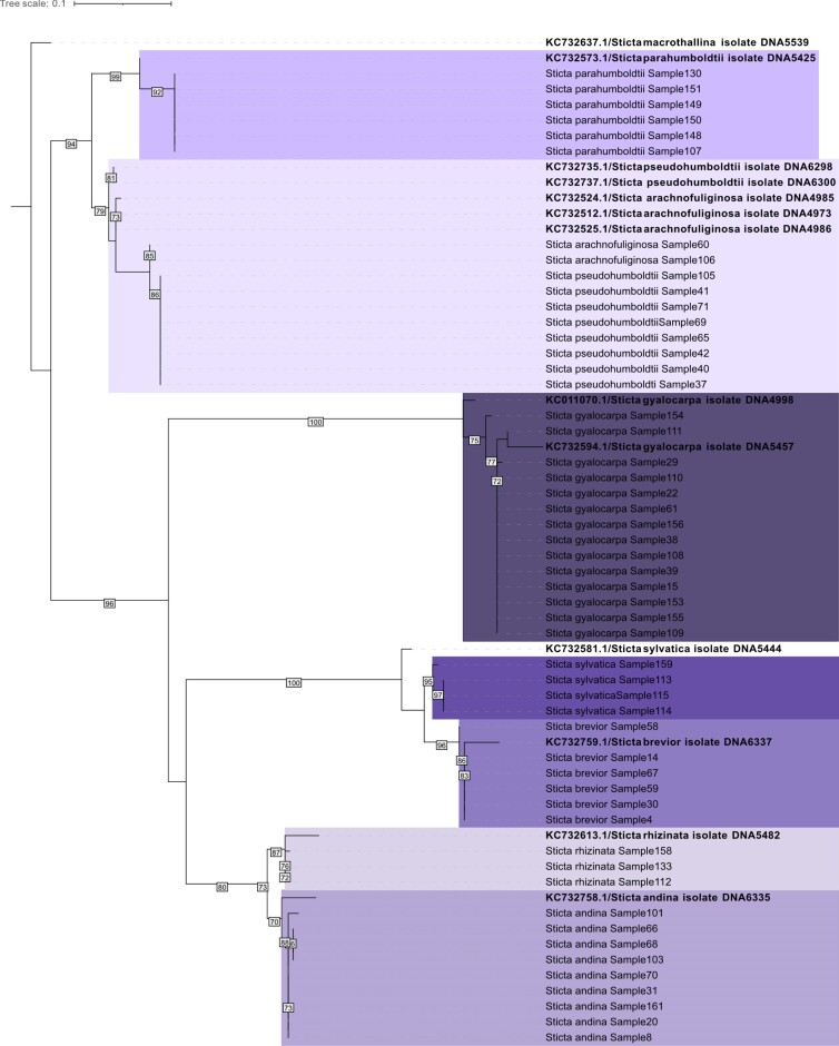 Distinct bacteria display genus and species-specific associations with mycobionts in paramo lichens in Colombia.