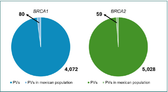 Pathogenic variants in <i>BRCA1</i> and <i>BRCA2</i> genes associated with female breast and ovarian cancer in the Mexican population.