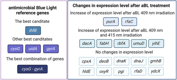 Identification and validation of reference genes for quantitative gene expression analysis under 409 and 415 nm antimicrobial blue light treatment.