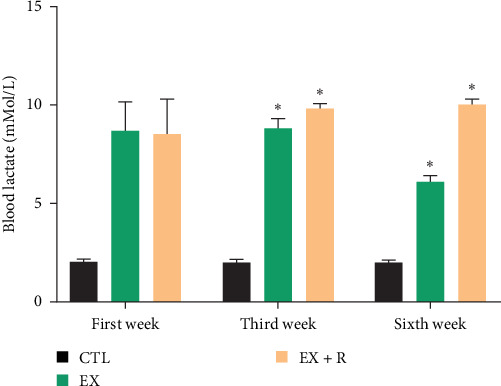 The Antiaging and Antioxidative Effects of a Combination of Resveratrol and High-Intensity Interval Training on the Frontal Lobe in Aged Rats: The Role of SIRTS 4, SIRTS 5, SOD1, and SOD2.