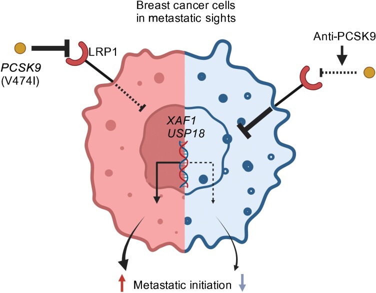 <i>PCSK9</i> V474I germline variant drives breast cancer metastasis.