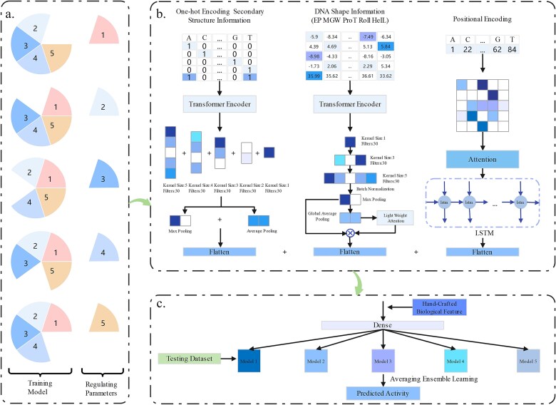 DeepMEns: an ensemble model for predicting sgRNA on-target activity based on multiple features.