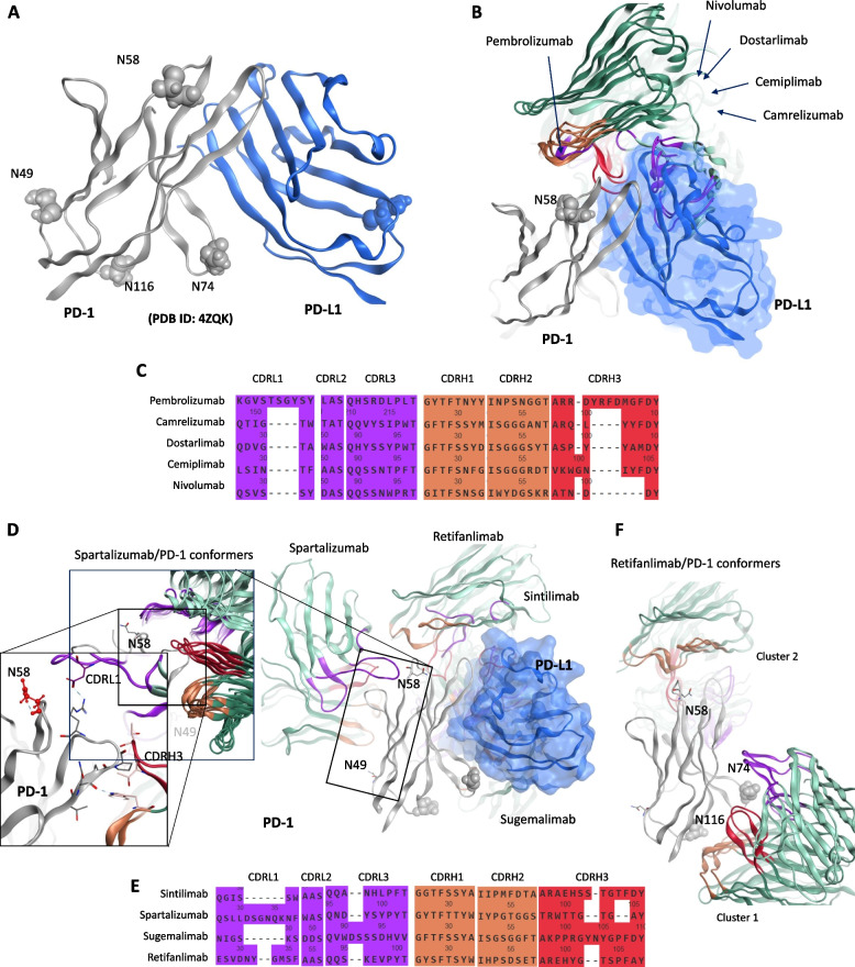 Structural insights into antibody-based immunotherapy for hepatocellular carcinoma.