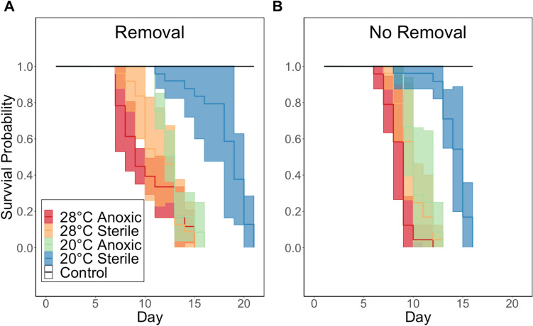 The combined effects of temperature and exogenous bacterial sources on mortality in the Eastern oyster (<i>Crassostrea virginica</i>) under anoxia.