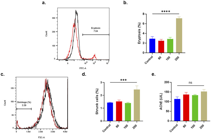 Zeatin Elicits Premature Erythrocyte Senescence Through Calcium and Oxidative Stress Mediated by the NOS/PKC/CK1α Signaling Axis.