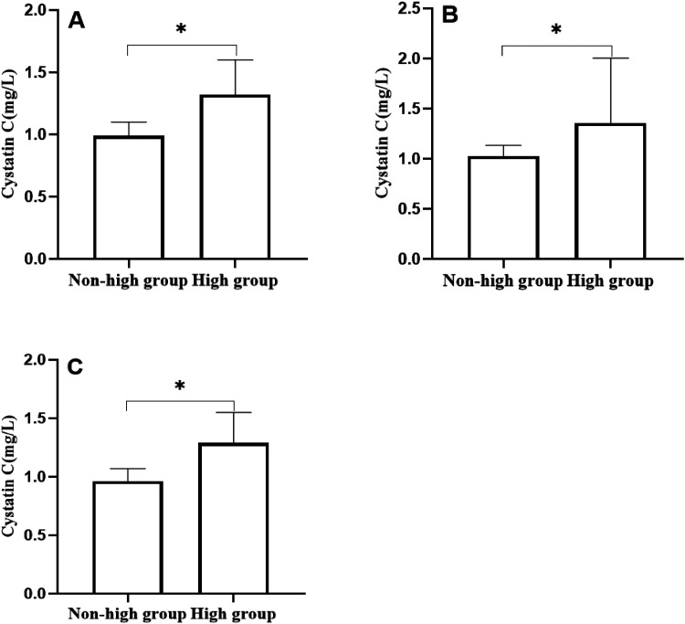 Cystatin C as a Biomarker for Identifying High-Risk Patients with Acute Coronary Syndrome: An Observational Study.
