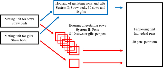 A comparison of two systems for group housing of gestating sows - effects on productivity, removal, and treatments.