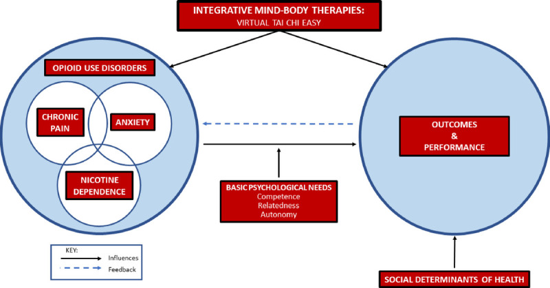 A New Holistic Theoretical Framework to Inform Opioid Use Disorder Management.