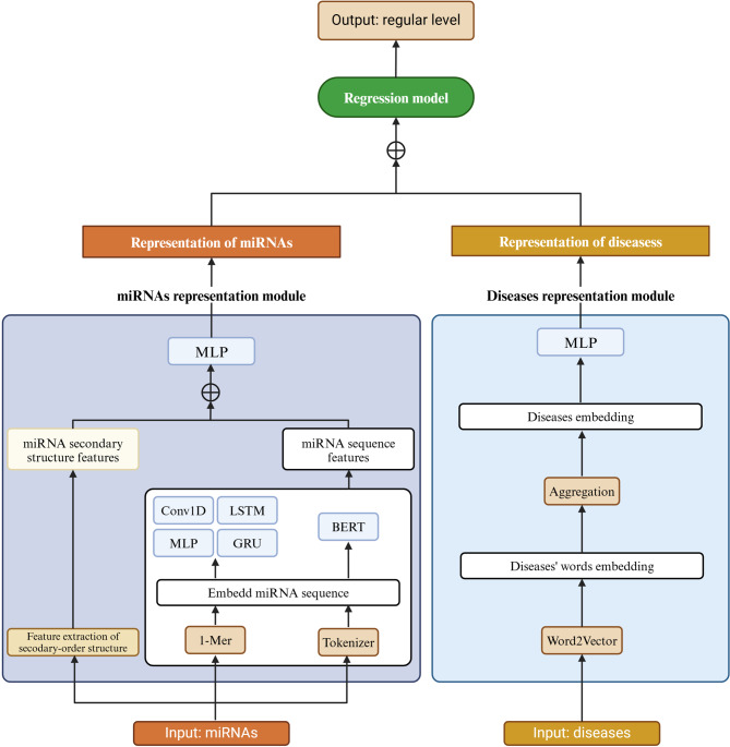 Establishing a GRU-GCN coordination-based prediction model for miRNA-disease associations.