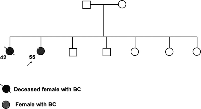 Screening of Germline BRCA1 and BRCA2 Variants in Nigerian Breast Cancer Patients.