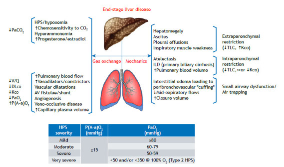 The role of the pulmonary function laboratory in the management of gastrointestinal and liver diseases.