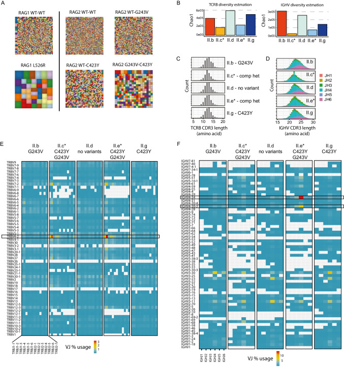 Hypomorphic RAG2 Deficiency Promotes Selection of Self-Reactive B Cells.
