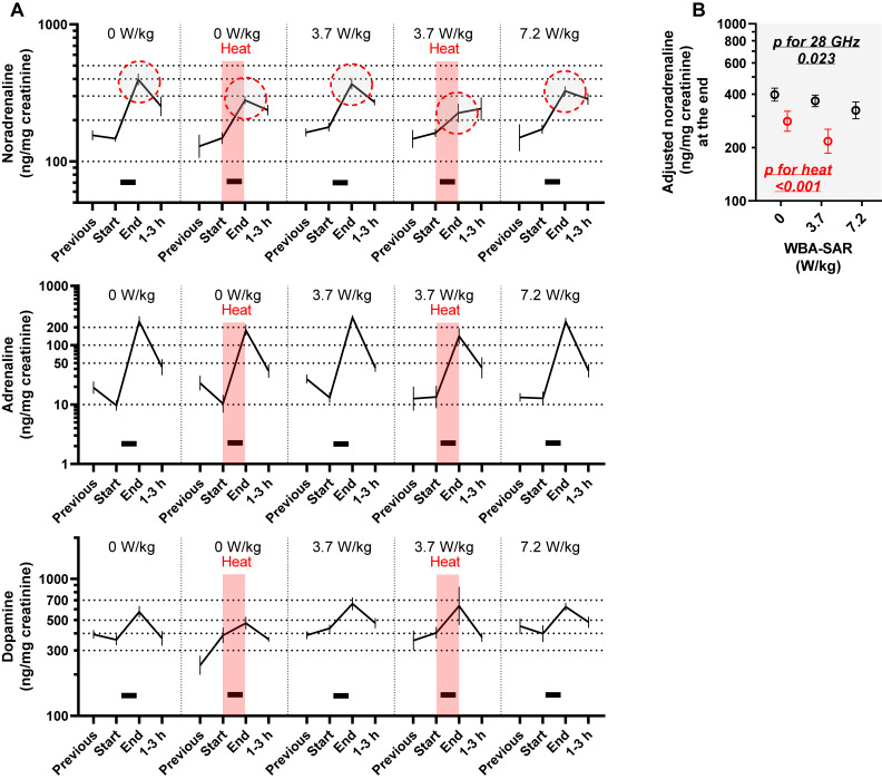 Single exposure to near-threshold 5G millimeter wave modifies restraint stress responses in rats.
