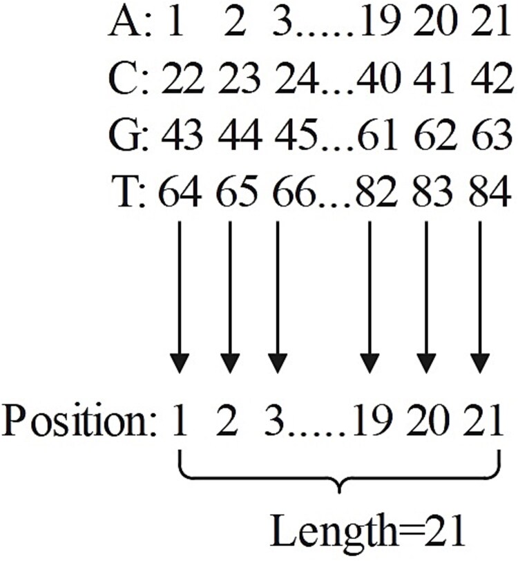 DeepMEns: an ensemble model for predicting sgRNA on-target activity based on multiple features.