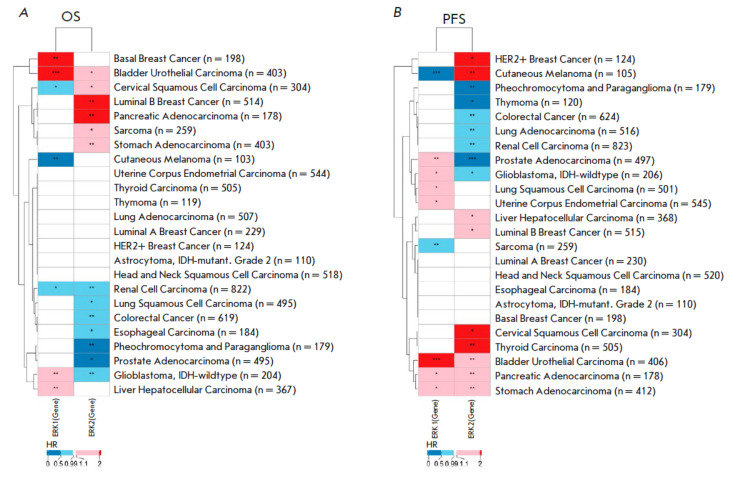 Activation of the ERK1/2 Molecular Pathways and Its Relation to the Pathogenicity of Human Malignant Tumors.