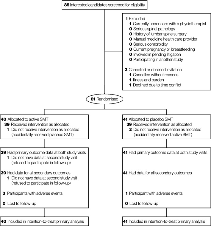 'Which treatment do you believe you received?' A randomised blinding feasibility trial of spinal manual therapy.