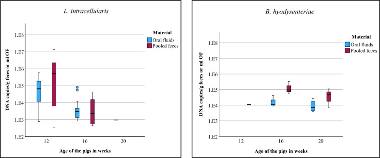 Field study on the suitability of oral fluid samples for monitoring of Lawsonia intracellularis and Brachyspira hyodysenteriae by multiplex qPCR under field conditions.
