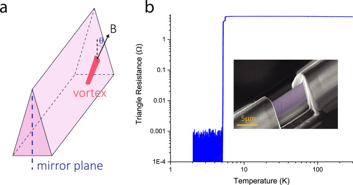 Geometrical design of 3D superconducting diodes.