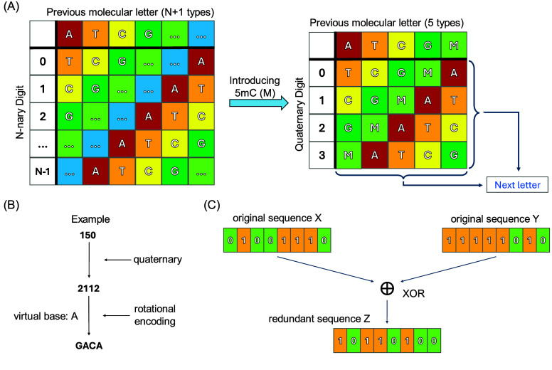 A practical DNA data storage using an expanded alphabet introducing 5-methylcytosine.