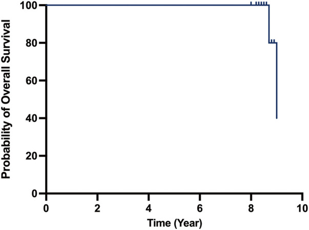 Eight-Year Clinical Outcomes of Transcatheter Aortic Valve Replacement with J-Valve System.