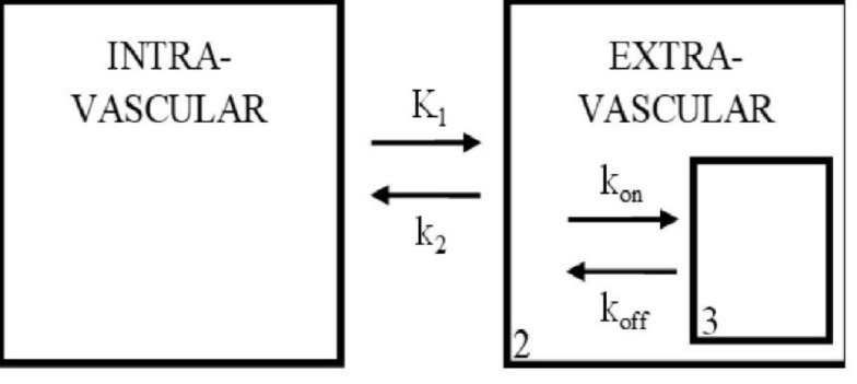 Use of the specific binding ratio distribution to characterise multiple system atrophy in advanced iodine-123-labelled N-(3-fluoropropyl)-2β-carbomethoxy-3β-(4-iodophenyl) nortropane serotonin transporter imaging.