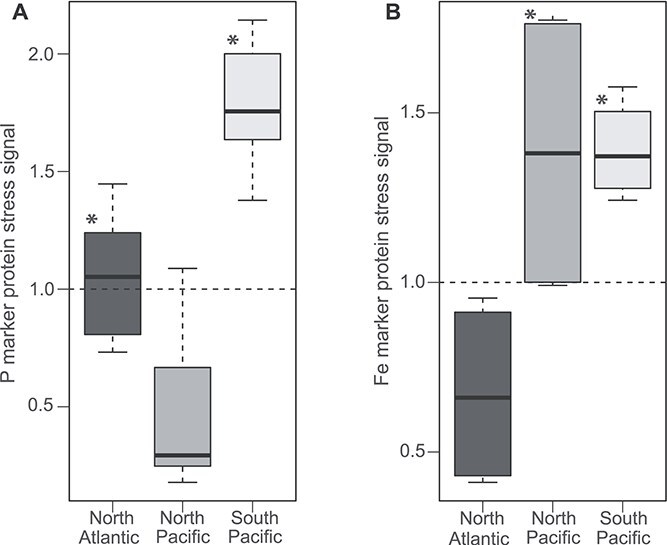 Trichodesmium metaproteomes reflect the differential influence of resource availability across ocean regions.