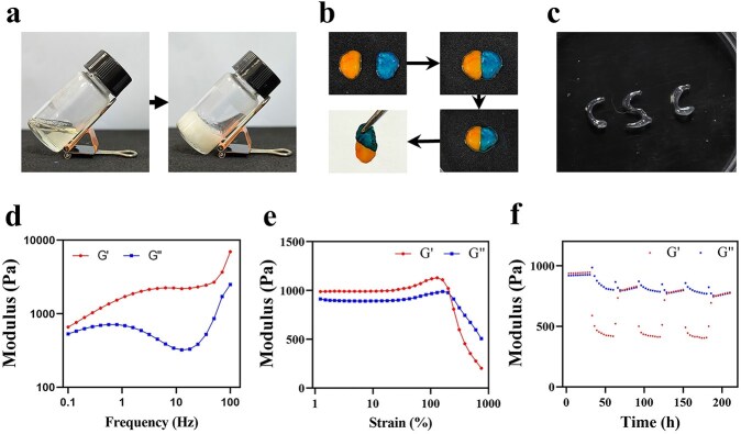 Zn ion-incorporated injected hydrogels with reactive oxygen species and glucose scavenging capacity for diabetic wound healing.